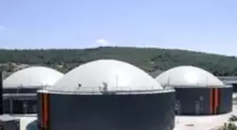 Hayvan dışkıları elektrik ve organik gübreye dönüşüyor