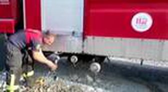 Anız yangınında alevlerin ortasında kalan kaplumbağa kurtarıldı