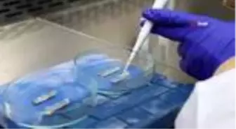 Ata tohumları geleceğe miras için donduruluyor