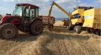 Eskişehir'de arpa, yulaf ve buğday üreticisi bu yılki hasattan umduğunu bulamadı