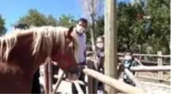 Faytondan özgürlüğe