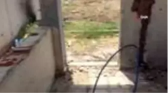 Şehidin adını taşıyan okulu hırsızlar talan etti