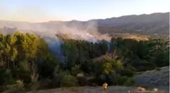 Elazığ'da orman yangını, 30 dönüm zarar gördü