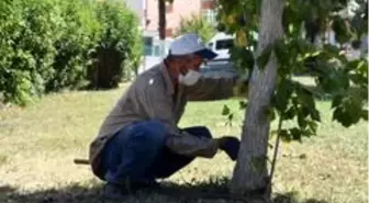 Erenler Bayrama hazır