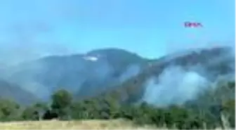 Çanakkale Yenice'deki orman yangınına ekiplerin müdahalesi sürüyor