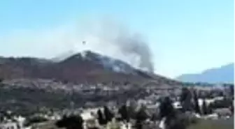 Bodrum'da yerleşim yerleri yakınındaki makilik alanda yangın