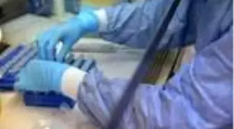 Virüste mutasyonu ortaya çıkaracak çalışma