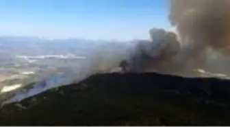 Son Dakika | Aydın'da başlayarak Muğla'ya ulaşan orman yangını kontrol altına alındı