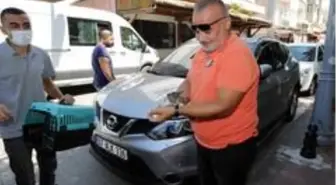 Antalya'da araca sıkışan yavru kedi kurtarıldı