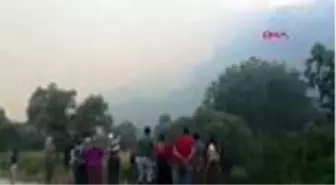Aydın'da zeytinlik alanda yeniden başlayan yangın evlere yaklaştı