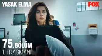 Yasak Elma 75. Bölüm 1. Fragmanı