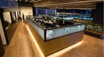 Borsa ilk yarıda yükseldi