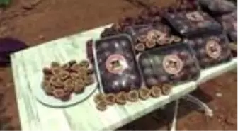 Tropikal meyve 'passiflora'nın hasadı başladı