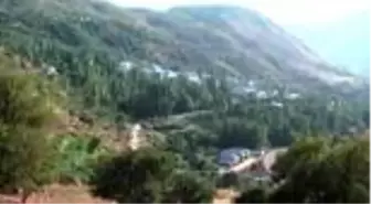 'Berivanlar' süt sağmak için her gün kilometrelerce yürüyor