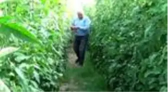 Erdemli Belediyesi üretici ve esnaflara ücretsiz e-ticaret eğitimi verecek