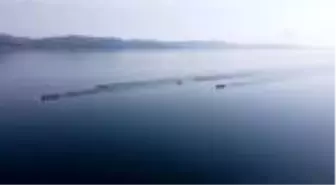 Gençler Türkiye Kupası Kürek Yarışları başladı
