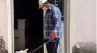 Hayvan sever başkan yaralı köpeği tedavi ettirdi