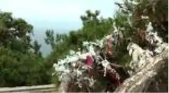 Son dakika haberi: İlginç görüntünün adresi Büyükada oldu: Dilek çaputu yerine maske bağladılar