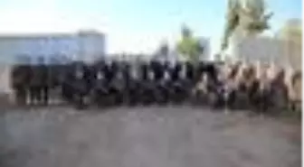 Mamak Belediyesi'nden portatif havuz