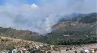 Muğla'daki orman yangınına müdahale sürüyor! Bölgeye çevre illerden destek ekipleri geldi