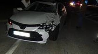 Otomobilin çarptığı at telef oldu