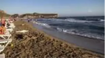 Patara'da caretta caretta yavruları denizle buluştu