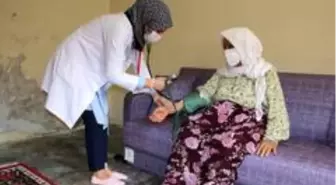Yeşeren çınarlara destek sürüyor
