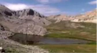 Tunceli'de göçerlerin doğaya saldığı atlar yaylalara renk katıyor