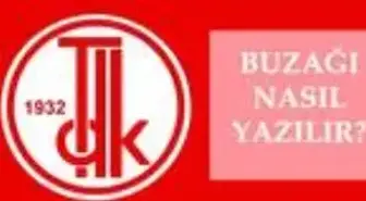 Buzağı nasıl yazılır? TDK'ya göre Buzağı mı, Buzagı mı? Buzağı ne demek?