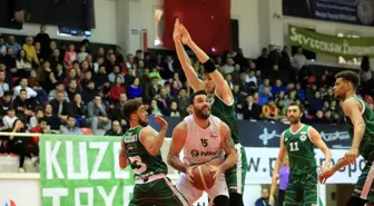 Petkimspor Basketbol Süper Ligi'nde mücadele edecek!