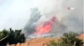 Son dakika! UNESCO listesine giren Priene Antik Kenti'nde yangın