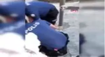 Son dakika haberi! KADIKÖY'DEKİ OLAY; VALİLİK İLGİLİ POLİS MEMURLARI GÖREVDEN UZAKLAŞTIRILMIŞTIR