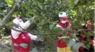 Gençler 'Fındık bahane sohbet şahane' diyerek yaşlıların gönlüne dokunuyor