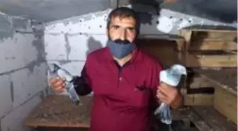 100 bin lira kanatlanıp uçtu