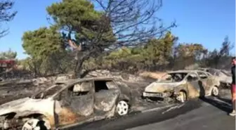 Seferihisar'da otluk alanda çıkan yangında yaklaşık 50 araç yandı