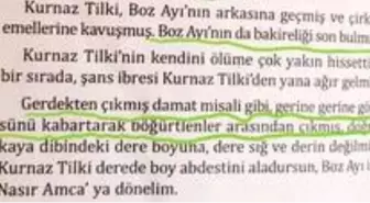 Eğitim-Bir-Sen'den tepki çeken 'Gül ve Düşün' kitabının yazarı hakkında suç duyurusu