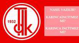 Karıncaincitmez nasıl yazılır? TDK'ya göre doğru imla karıncaincitmez mi, karınca incitmez mi? Karıncaincitmez ne demek?
