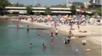 Kuşadası'nda sıcak havadan bunalan soluğu plajda aldı