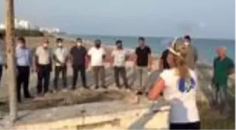 Mersin'de deniz kaplumbağalarının yuvalama alanları temizlendi