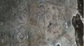 1600 yıllık 'Gola' mozaiklerini tahrip ettiler