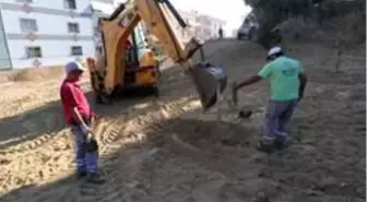 Turgutlu Belediyesi ekiplerinden yol ve ağaçlandırma çalışması