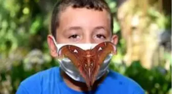 Dünyanın en büyük kelebeği 'Atlas' Konya Tropikal Kelebek Bahçesi'nde