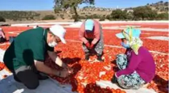 Başkan Çerçi Pelitalan'da üreticileri dinledi