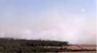 Son dakika... Çanakkale'nin iki ilçesinde orman yangını (3)