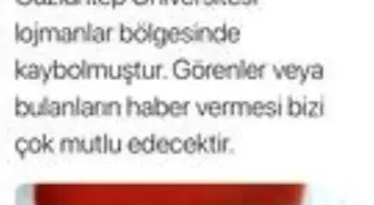 GAÜN Rektörü Gür Kedileri Şeftali'yi arıyor