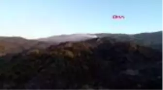 Son dakika... Hatay'da orman yangını beşinci gününde Müdahale sürüyor