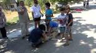 EDİRNE Zehirlendiği iddia edilen köpeklerin sahibinden afişli tepki