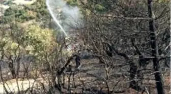 Son dakika haber... Hatay'da orman yangını