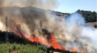 Son dakika haber... Balıkesir'de makilik alan yangını