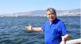 'İzmir Körfezi'nde yüzmek için derelerdeki kirliliğin arıtılması gerekli'